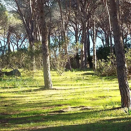 Tatil Evi --eror K-- Budoni